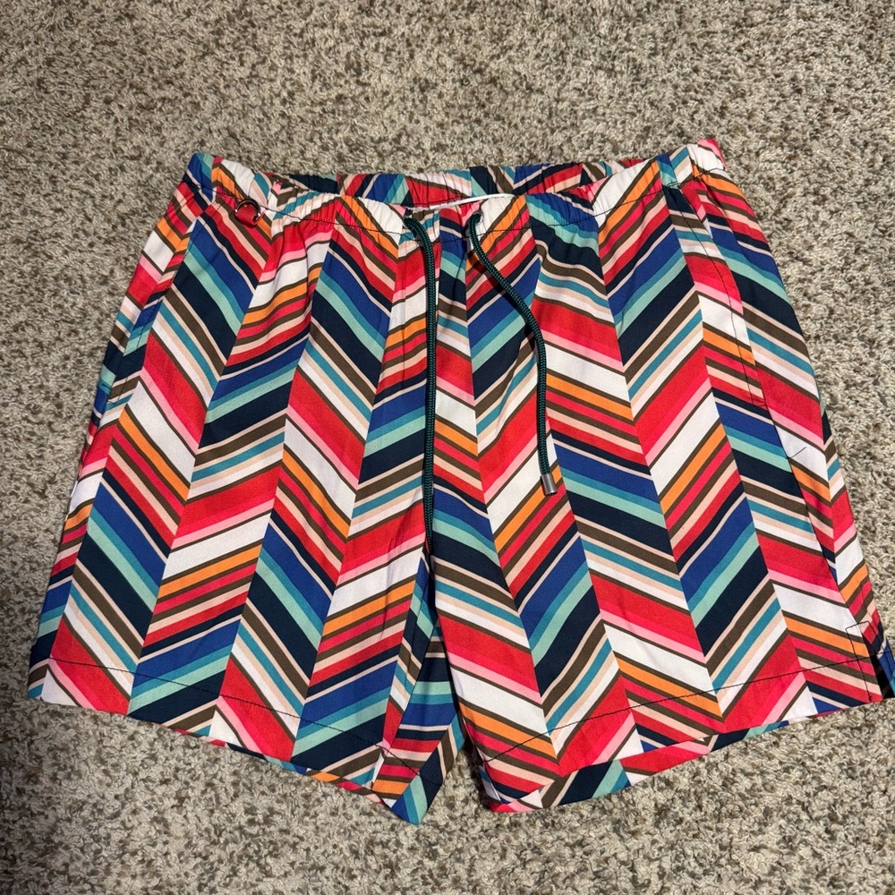 Mr. Turk Fabulous Colorful Striped Swim Shorts - S